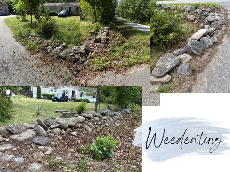 Freshly trimmed edges bringing a clean, well-kept look to the outdoor space